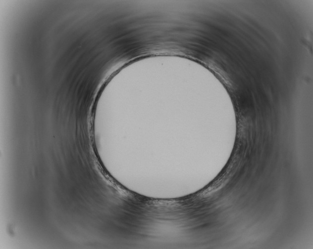 X0000098110856200804040800