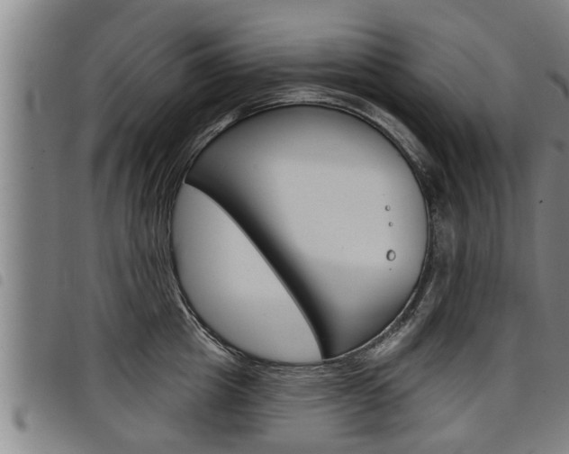 X0000098110857200804040800