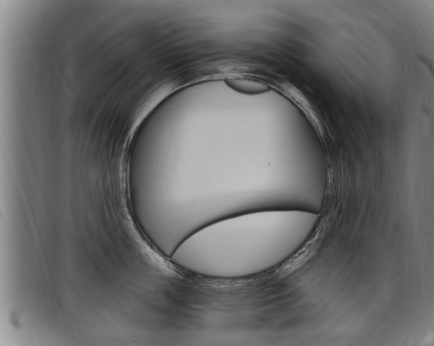 X0000098110859200804040800
