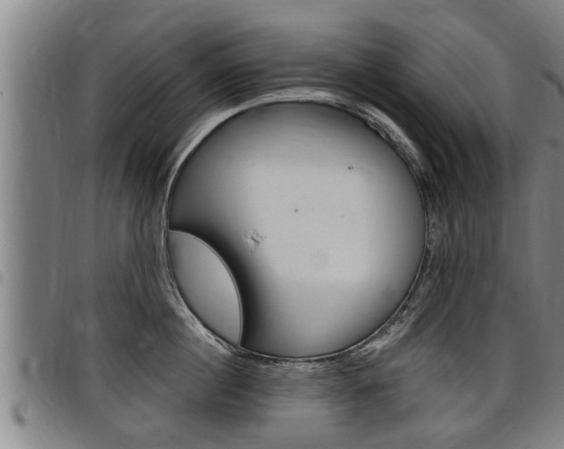 X0000098110860200804040800