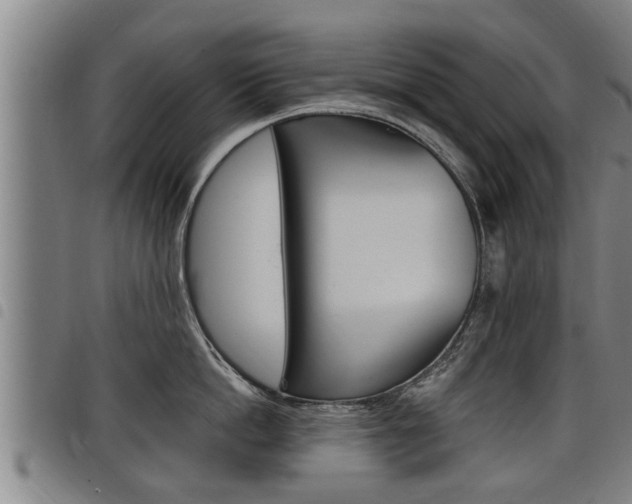 X0000098110862200804040800