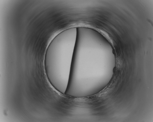 X0000098110863200804040800