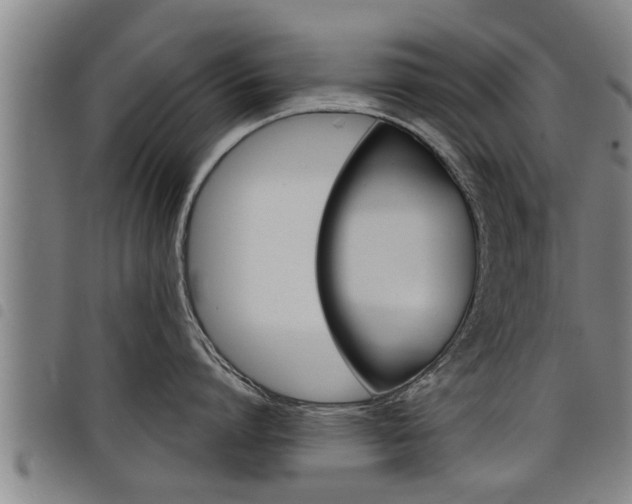 X0000098110864200804040800