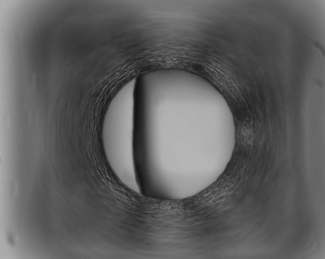 X0000098110865200804040759