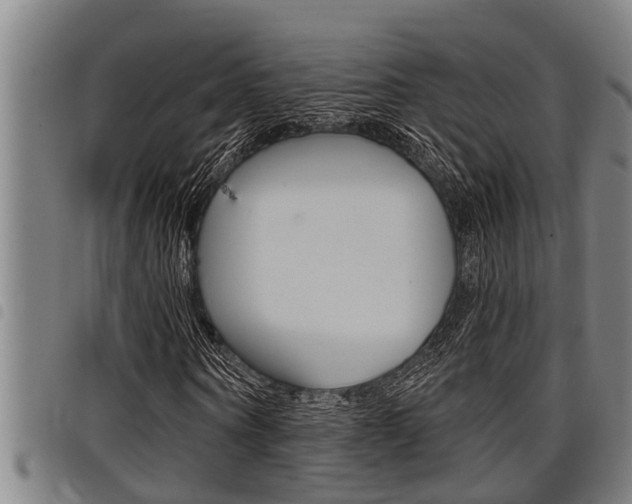 X0000098110866200804040759