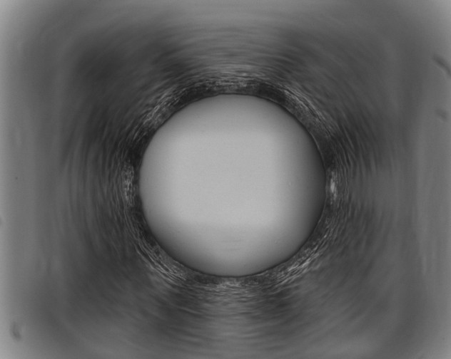 X0000098110867200804040759