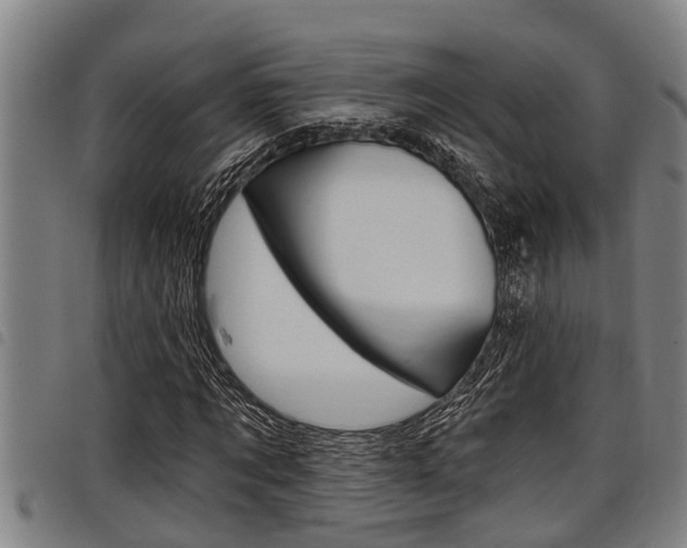 X0000098110869200804040759