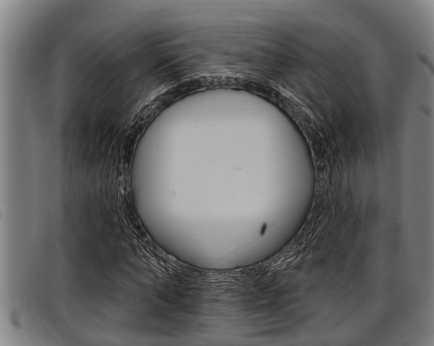 X0000098110870200804040759