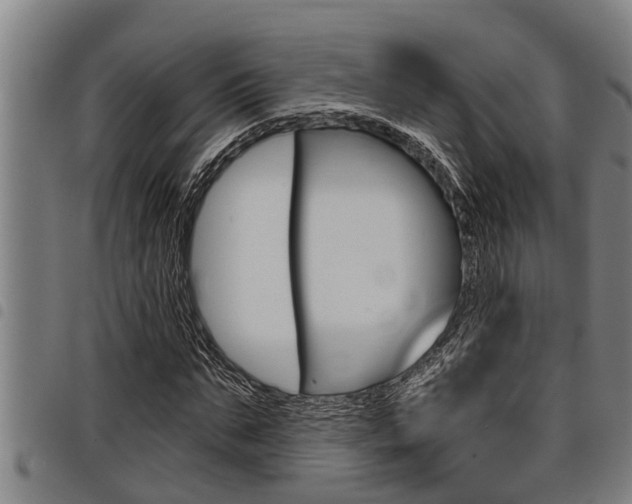 X0000098110871200804040759