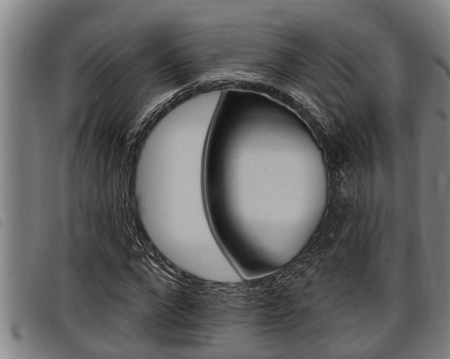 X0000098110872200804040759