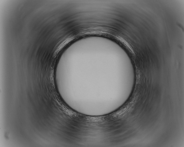 X0000098110874200804040759