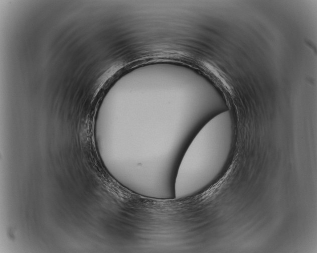 X0000098110875200804040759