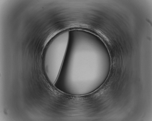 X0000098110877200804040759