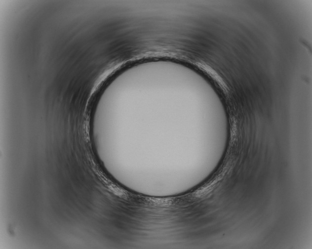 X0000098110878200804040759