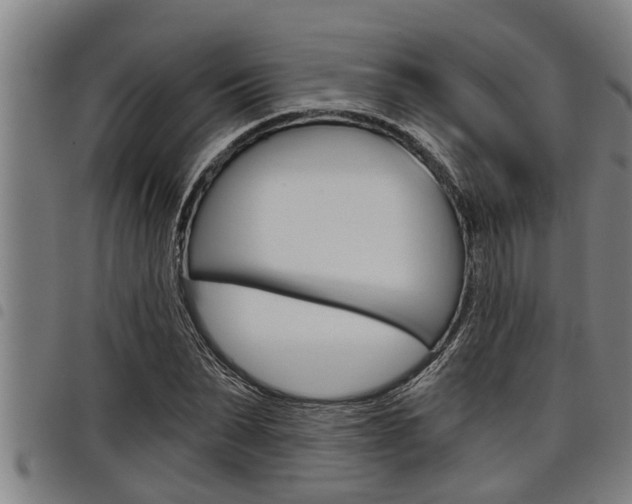 X0000098110879200804040759