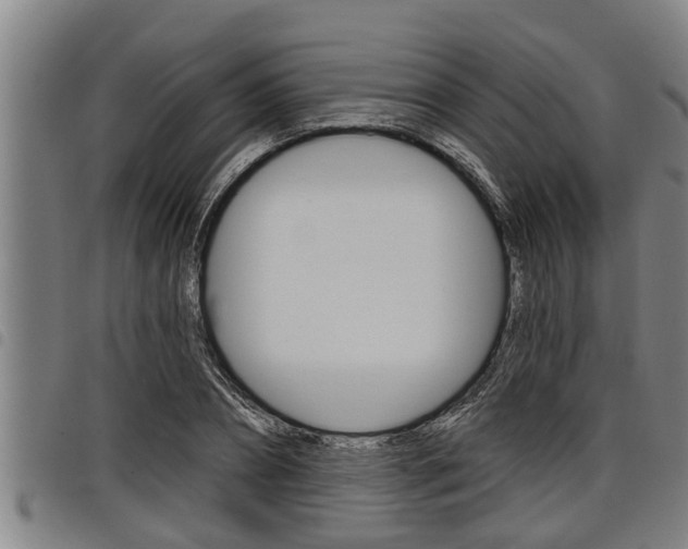 X0000098110882200804040759