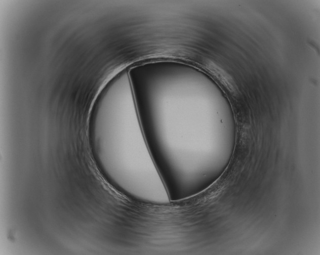 X0000098110884200804040759