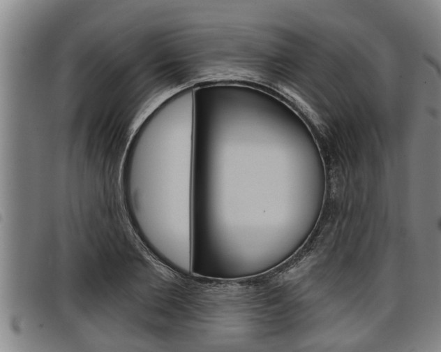 X0000098110885200804040759