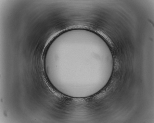 X0000098110886200804040759