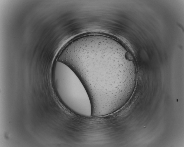 X0000098110887200804040759