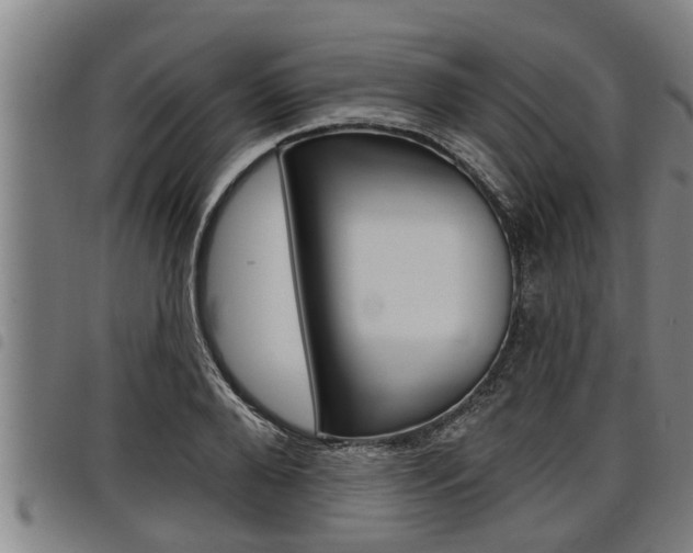 X0000098110888200804040759