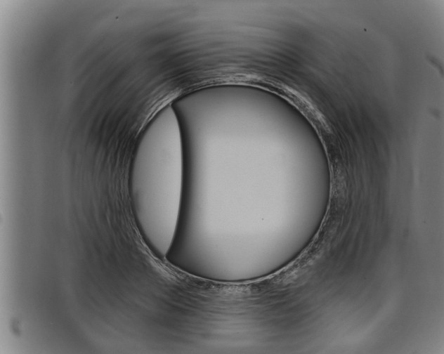 X0000098110889200804040759