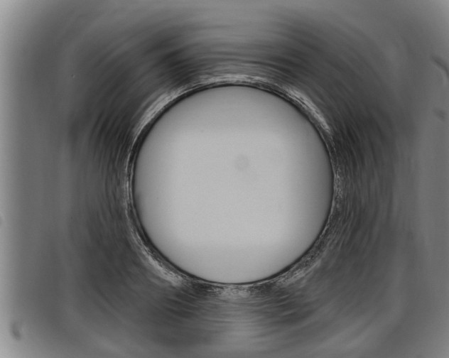 X0000098110890200804040758