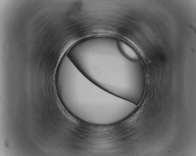 X0000098110891200804040758