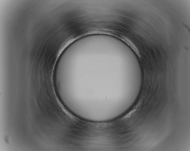 X0000098110893200804040758