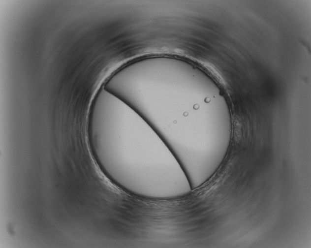X0000098110895200804040758