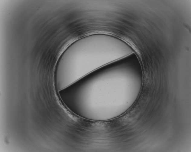 X0000098110898200804040758
