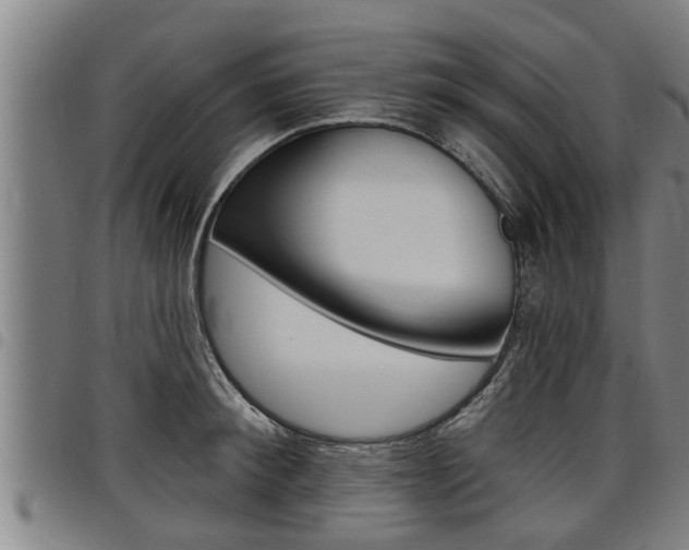 X0000098110900200804040758