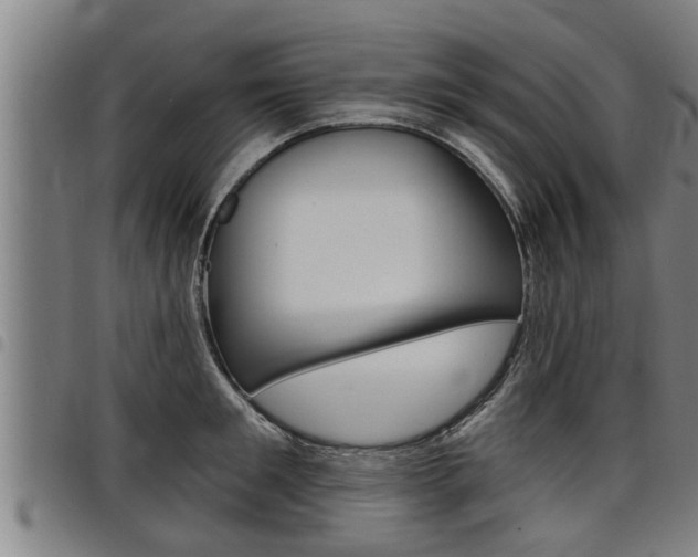X0000098110901200804040758