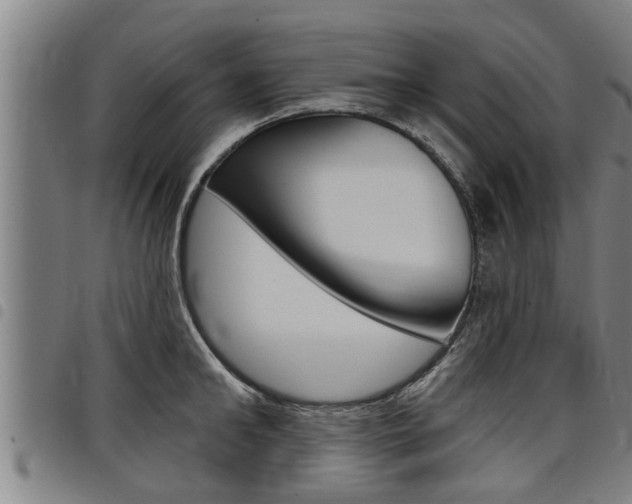 X0000098110902200804040758