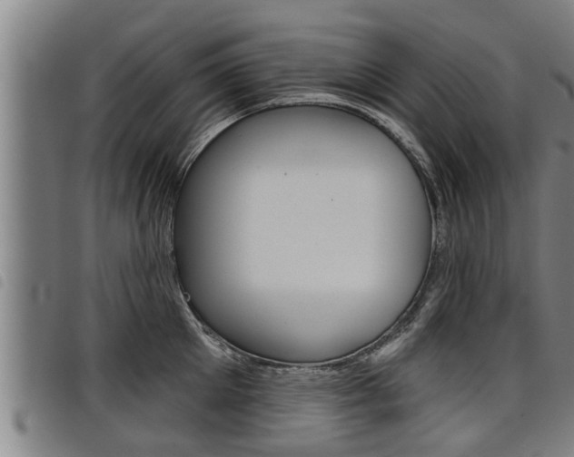 X0000098110905200804040758