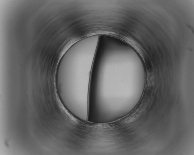 X0000098110906200804040758