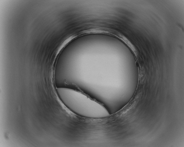 X0000098110909200804040758