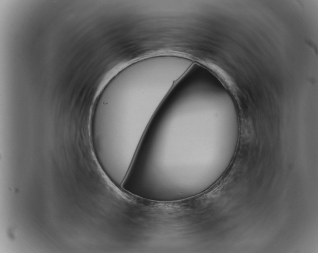 X0000098110910200804040758