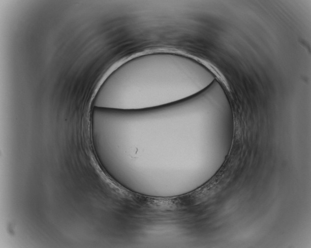 X0000098110911200804040758