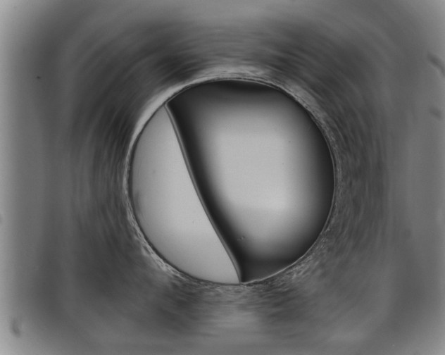 X0000098110912200804040758