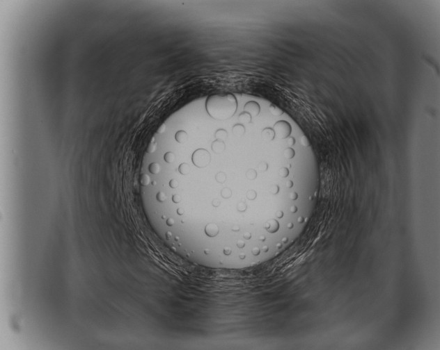 X0000098110913200804040758