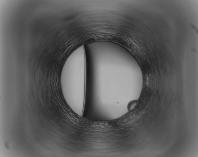 X0000098110915200804040758