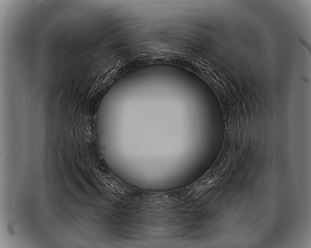 X0000098110916200804040758
