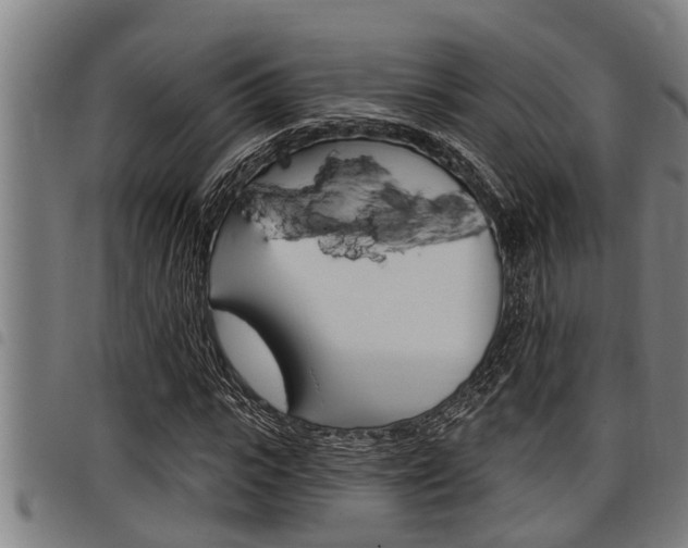 X0000098110919200804040758