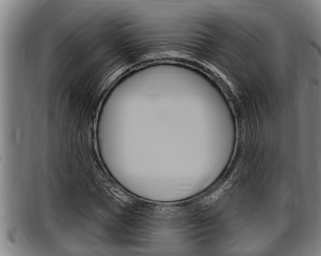 X0000098110921200804040758