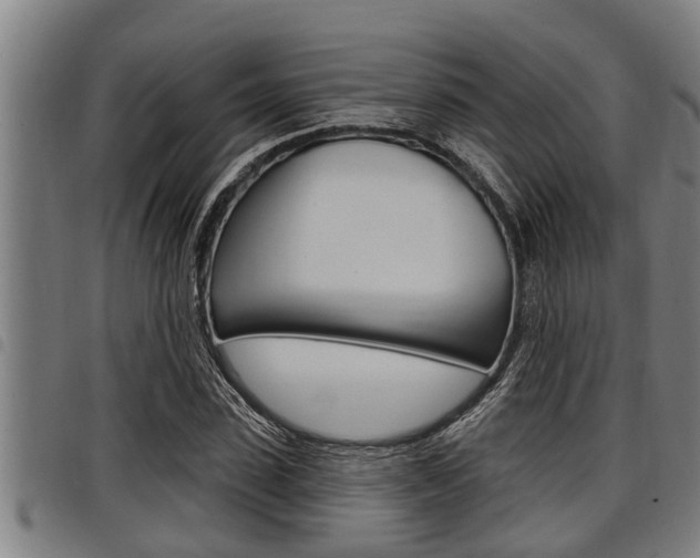 X0000098110923200804040758