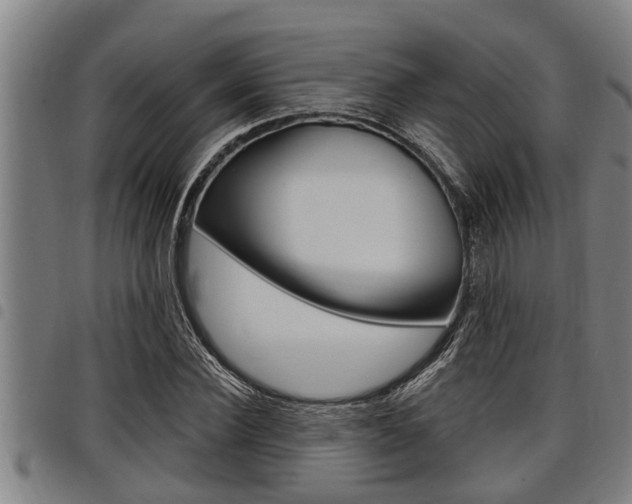 X0000098110924200804040758
