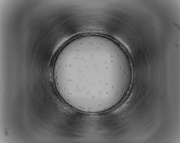X0000098110925200804040758
