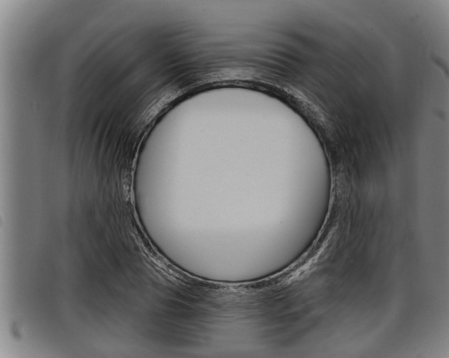 X0000098110929200804040758