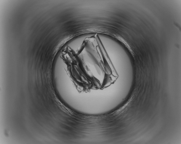 X0000098110930200804040758